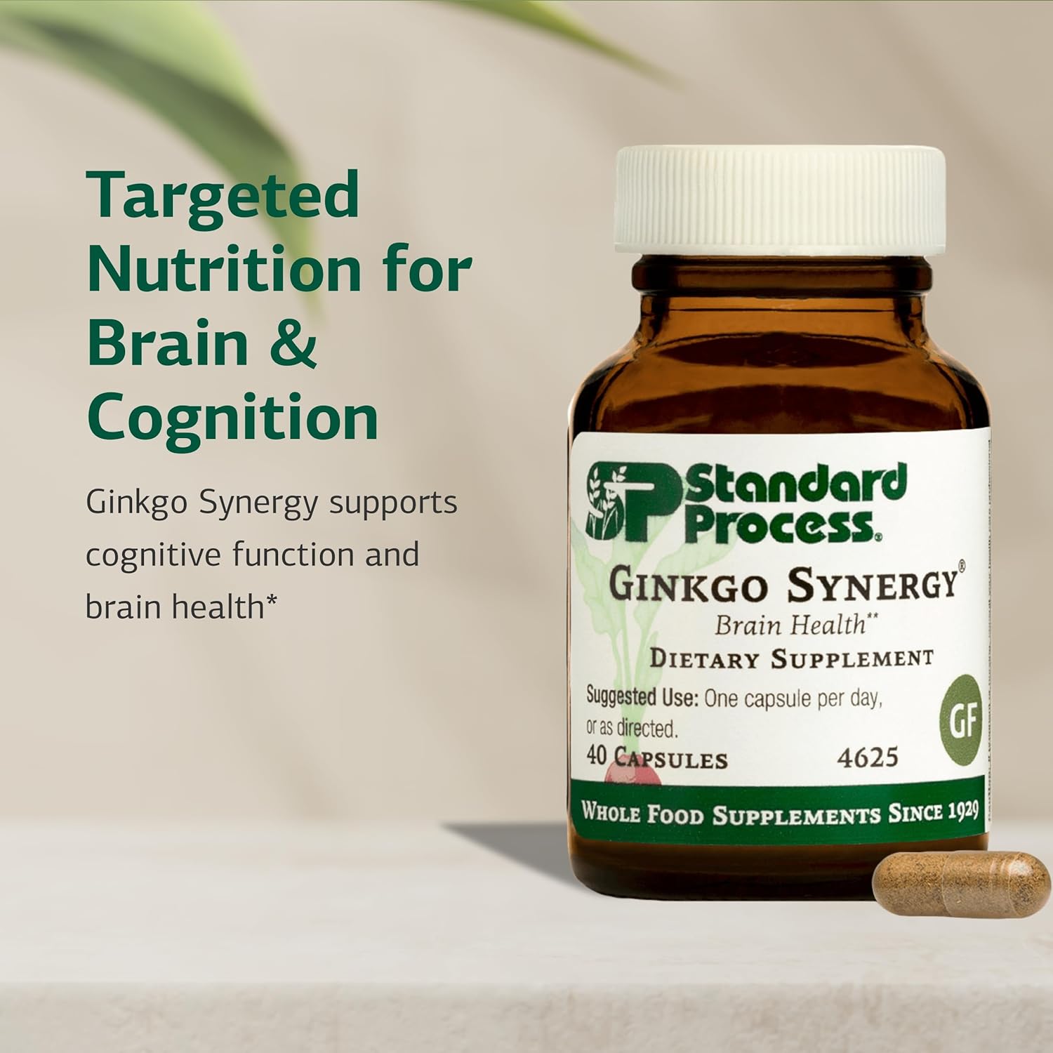 Standard Process Ginkgo Synergy - Brain Health Support Supplement - Supplement with Ginkgo Biloba Extract, Organic Buckwheat Powder & Gotu Kola to Support Antioxidant Activity - 40 Capsules