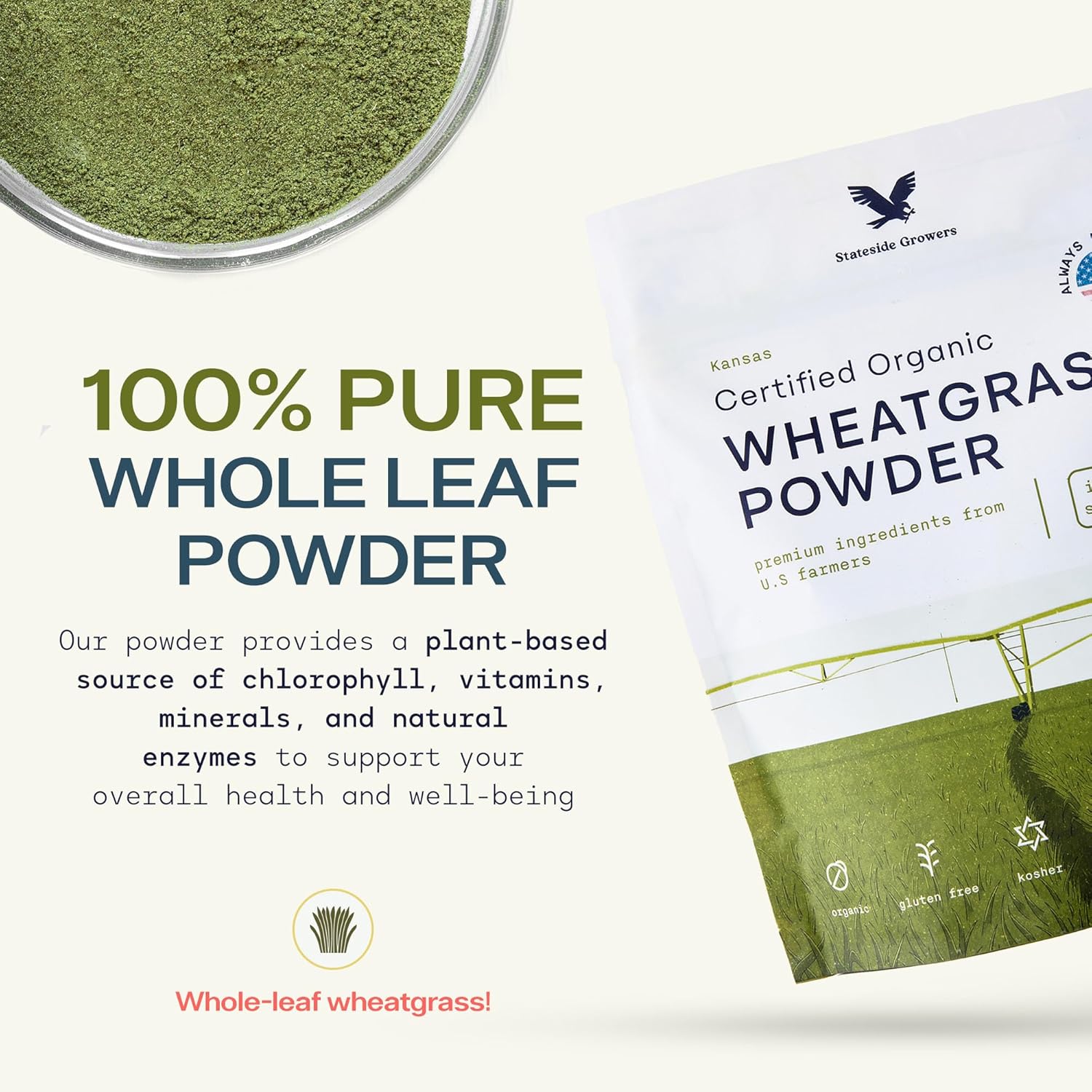 Organic Wheatgrass Powder - 100% Whole-Leaf Powder for Energy, Detox & Immunity Support - Rich in Immune Vitamins, Fibers, and Minerals - Vegan-Friendly, Raw & Gluten-Free (12 Ounce)