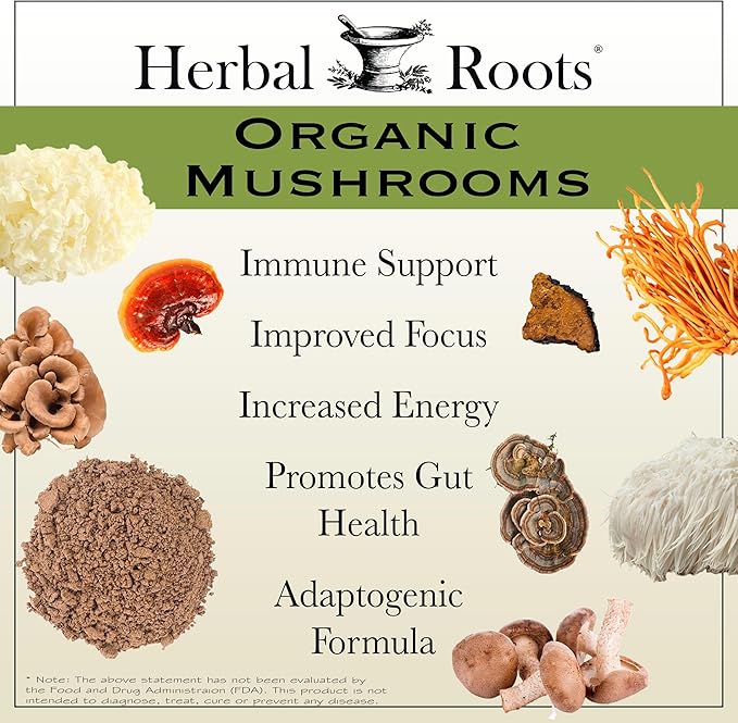 Men's Health Supplement Bundle, Natural Saw Palmetto, Mushroom Blend, Hawthorn, Heart and Prostate Support