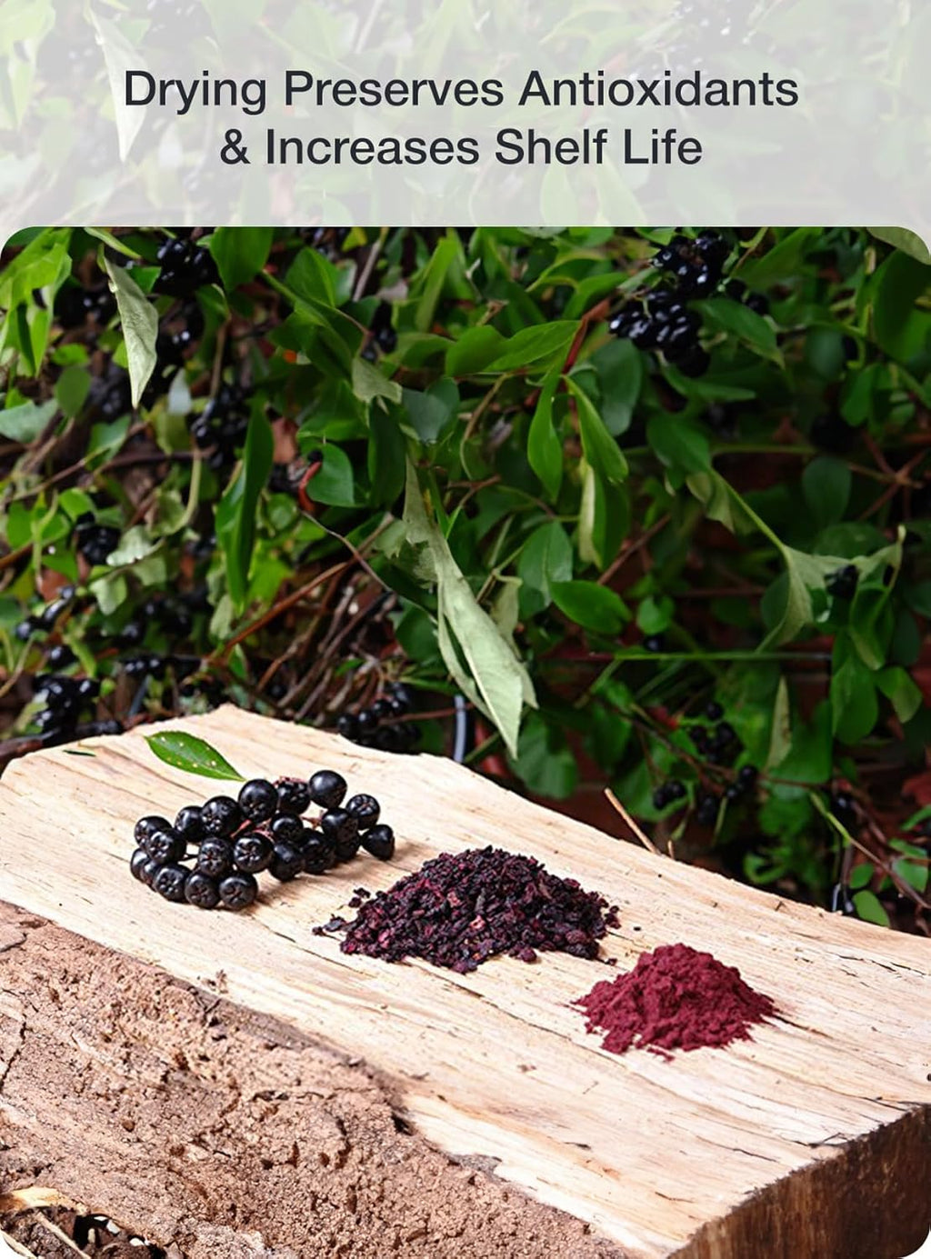 Green Valley Superfoods Organic Aronia Berry Juice Powder, Chokeberry, Antioxidant Rich Anthocyanins (8 Ounce)