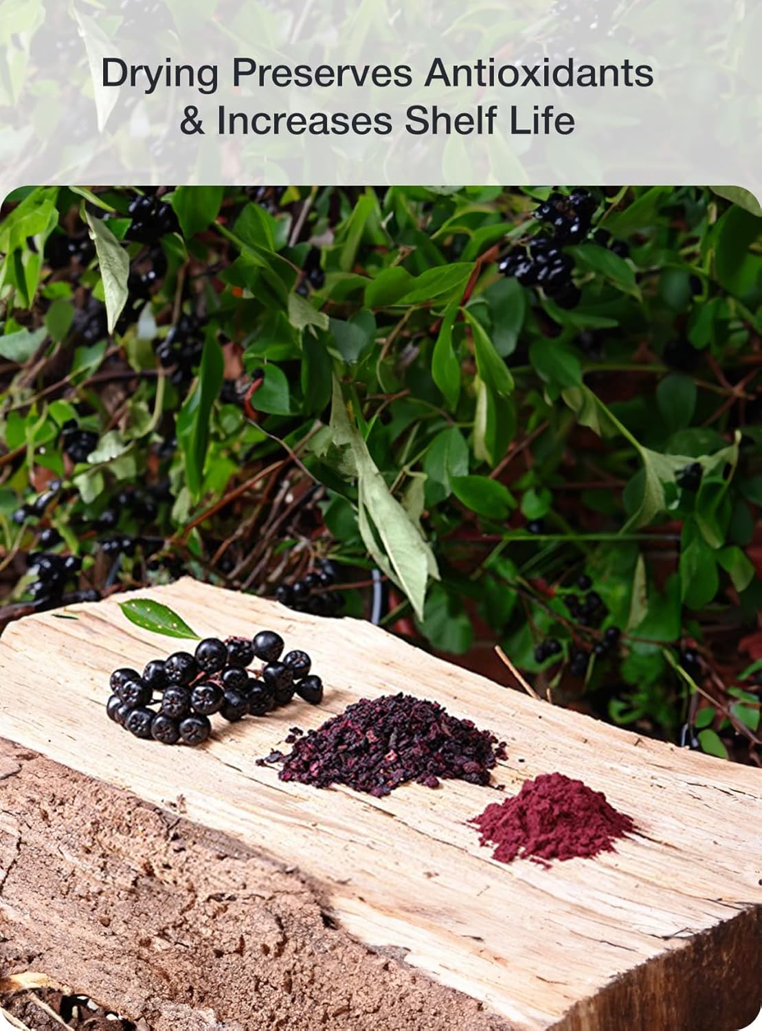 Green Valley Superfoods Organic Aronia Berry Juice Powder, Chokeberry, Antioxidant Rich Anthocyanins (8 Ounce)
