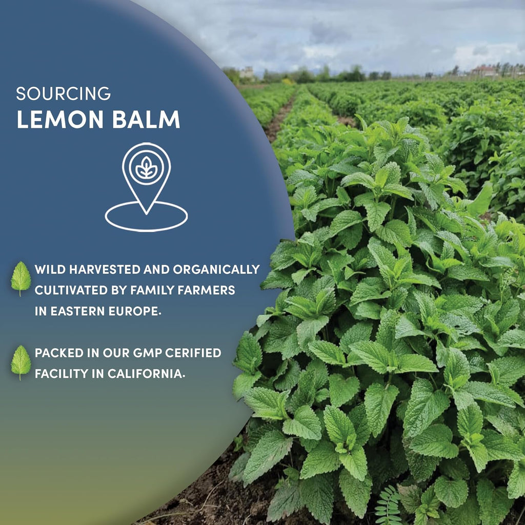 Worldwide Botanicals Organic Lemon Balm Tea, 1Lb - Loose Leaf Premium Herbal Tea | 100% Pure Lemon Balm Leaves | For Stress Relief and Good Digestion | Kosher