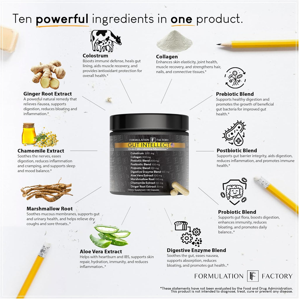 Gut Intellect 10-in-1 Microbiome Maximizer with Probiotics, Prebiotics, Enzymes, Berberine, Ginger, Mint, Supports Digestion & Brain-Gut Health (2 Month Supply, 120 Capsules)