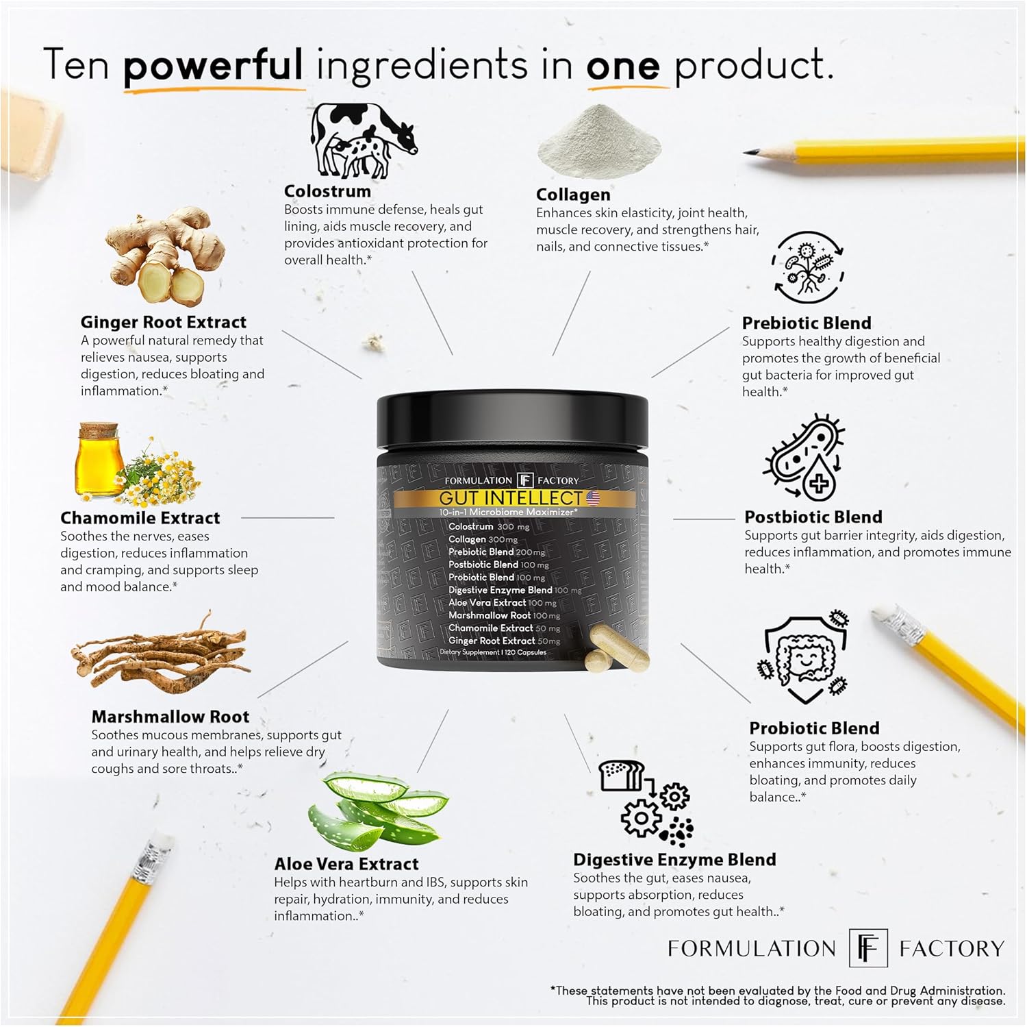 Gut Intellect 10-in-1 Microbiome Maximizer with Probiotics, Prebiotics, Enzymes, Berberine, Ginger, Mint, Supports Digestion & Brain-Gut Health (2 Month Supply, 120 Capsules)