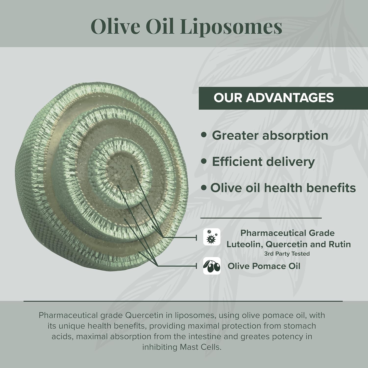 NeuroProtek Low Phenol Liquid - 60 Servings, The only Luteolin Liquid Formulation for Rapid Absorption. Exclusive Patented Combination of Luteolin and Other Flavonoids in Olive Pomace Oil with EVO