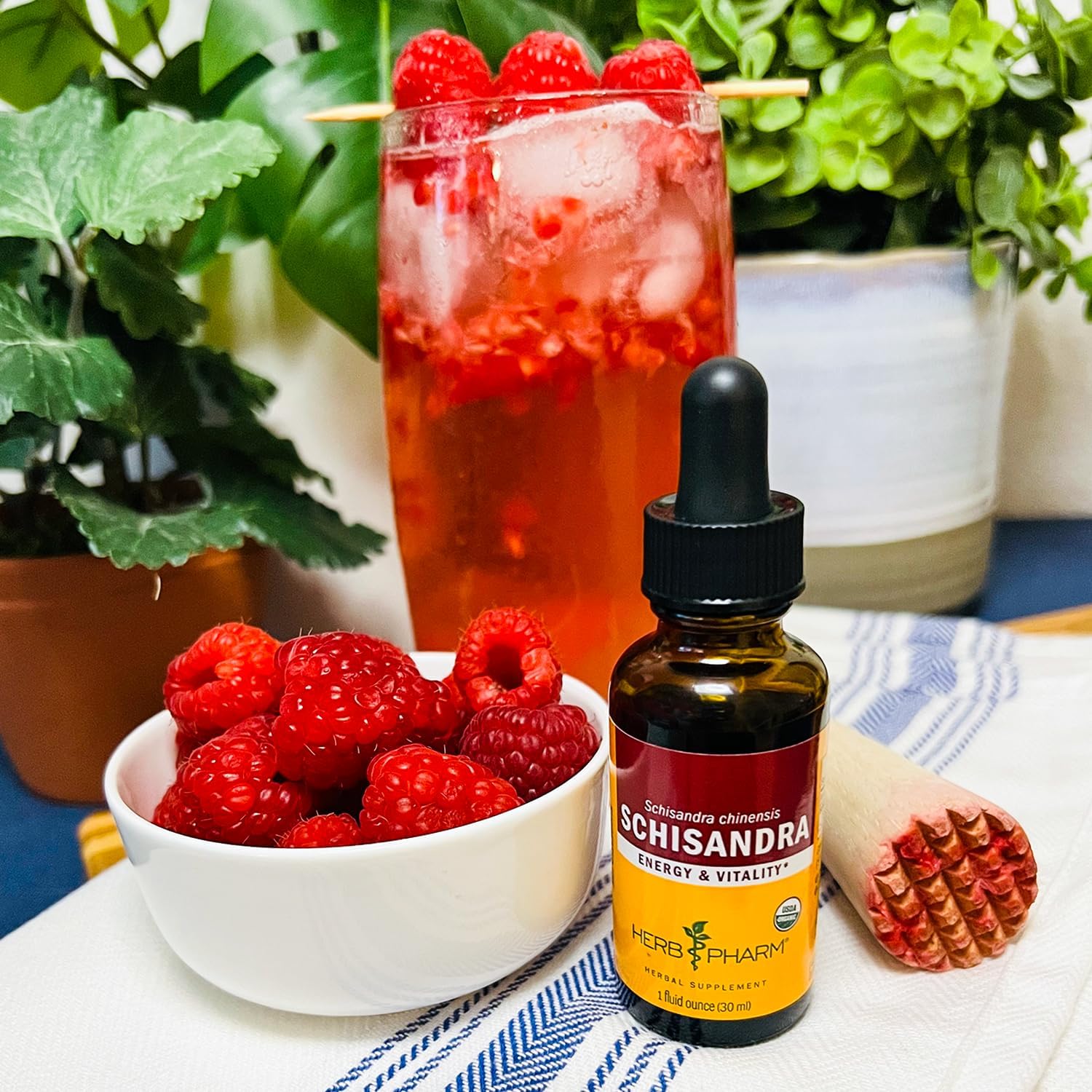 Herb Pharm Certified Organic Schisandra Berry Liquid Extract - 4 Ounce