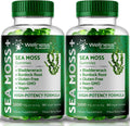 Sea Moss Gummies, 3200mg Irish Sea Moss Mixed Berry Flavor with Maximum Potency Bladderwrack and Burdock Root - Supports Skin, Energy and Immunity - 180 Count