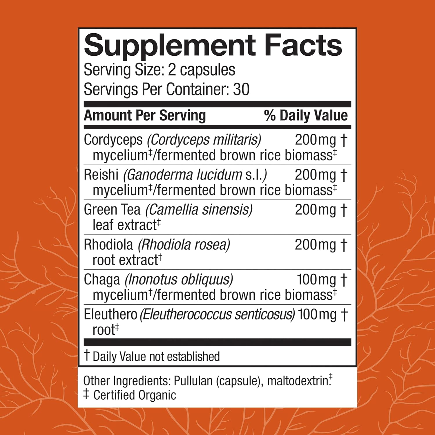 Host Defense MycoBotanicals Energy* Capsules - Energy & Respiratory Support Supplement - Herbal Green Tea Capsules - Respiratory Supplement with Cordyceps, Reishi & Chaga - 60 Capsules (30 Servings)*