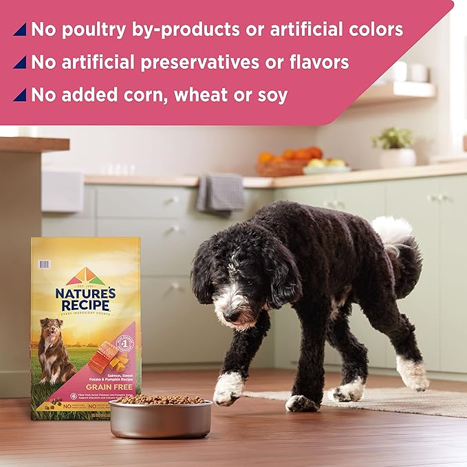Nature's Recipe Grain Free Dry Dog Food, Salmon, Sweet Potato & Pumpkin Recipe, 4 lb. Bag