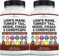 Lions Mane Mushroom Supplement with Turkey Tail Reishi Cordyceps Chaga with Marshmallow Root - 2-Pack