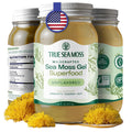 TrueSeaMoss Sea Moss Gel – Made in USA – Wildcrafted Seamoss, Dried Seaweed & Sea Vegetables – Original, Pack of 1 (Labels may Vary)