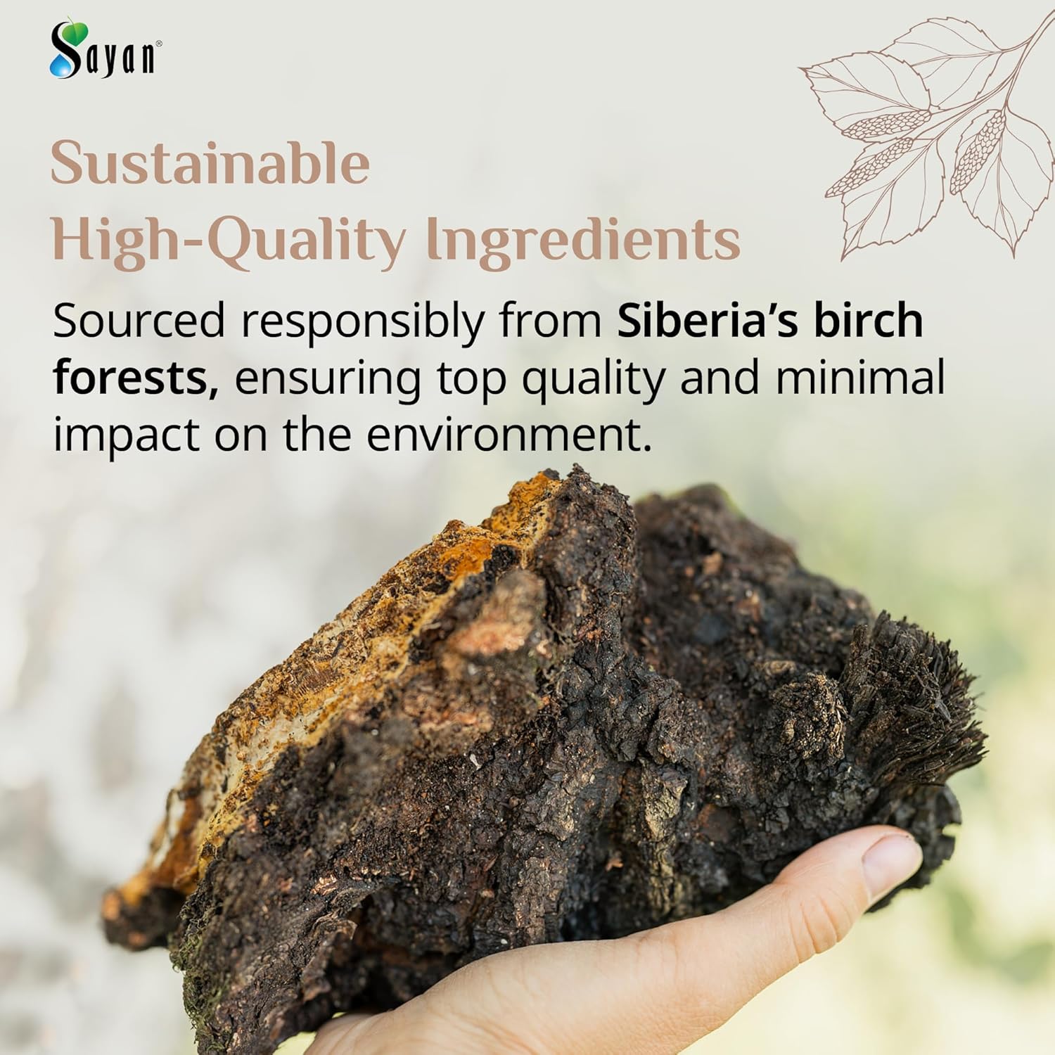 Sayan Chaga Mushroom Extract Powder (4oz) – Freeze Dried Siberian Wild Harvested - Organic Antioxidant Tea for Immune and Digestion Support - Focus, Energy, Clarity, Wellness - No Additives