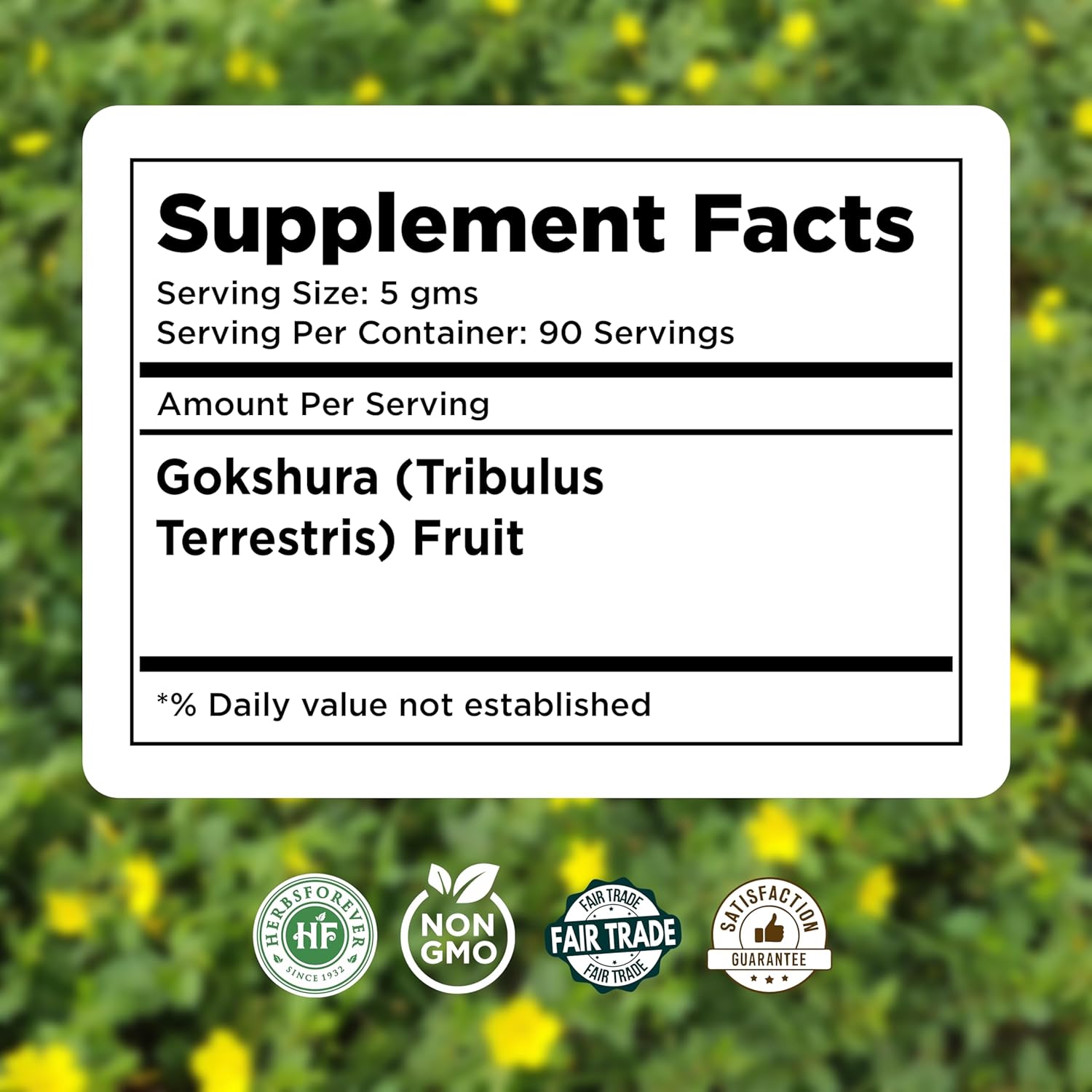 Gokshura Powder | Tribulus Terrestris | Authentic Ayurvedic Herb for Everyday Use | Non-GMO, Vegan, 100% Pure & Natural | 454 GMS Herbal Supplement