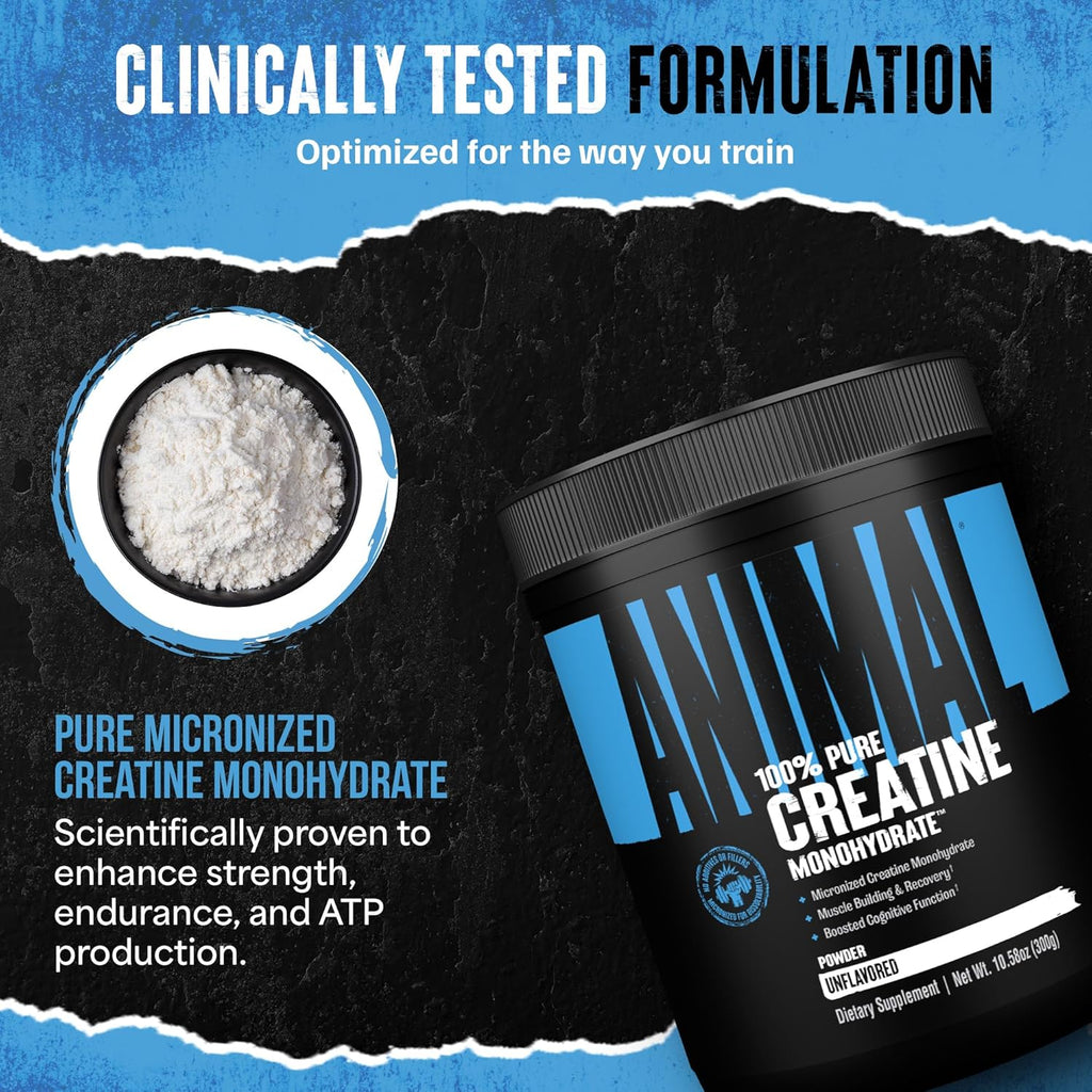 Animal Creatine Monohydrate Powder – Micronized Creatine for Women and Men, Supports Muscle Growth, Strength, Endurance, Recovery and ATP Production, Gym & Workout Supplements - Unflavored, 300g
