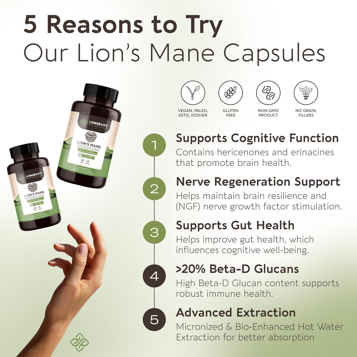 Longevity Botanicals Lion’s Mane Mushroom Extract Capsules (240) | Concentrated 8:1 Ratio | 100% Fruiting Bodies | Hericium Erinaceus Nootropic Supplement for Focus, Memory & Brain Support