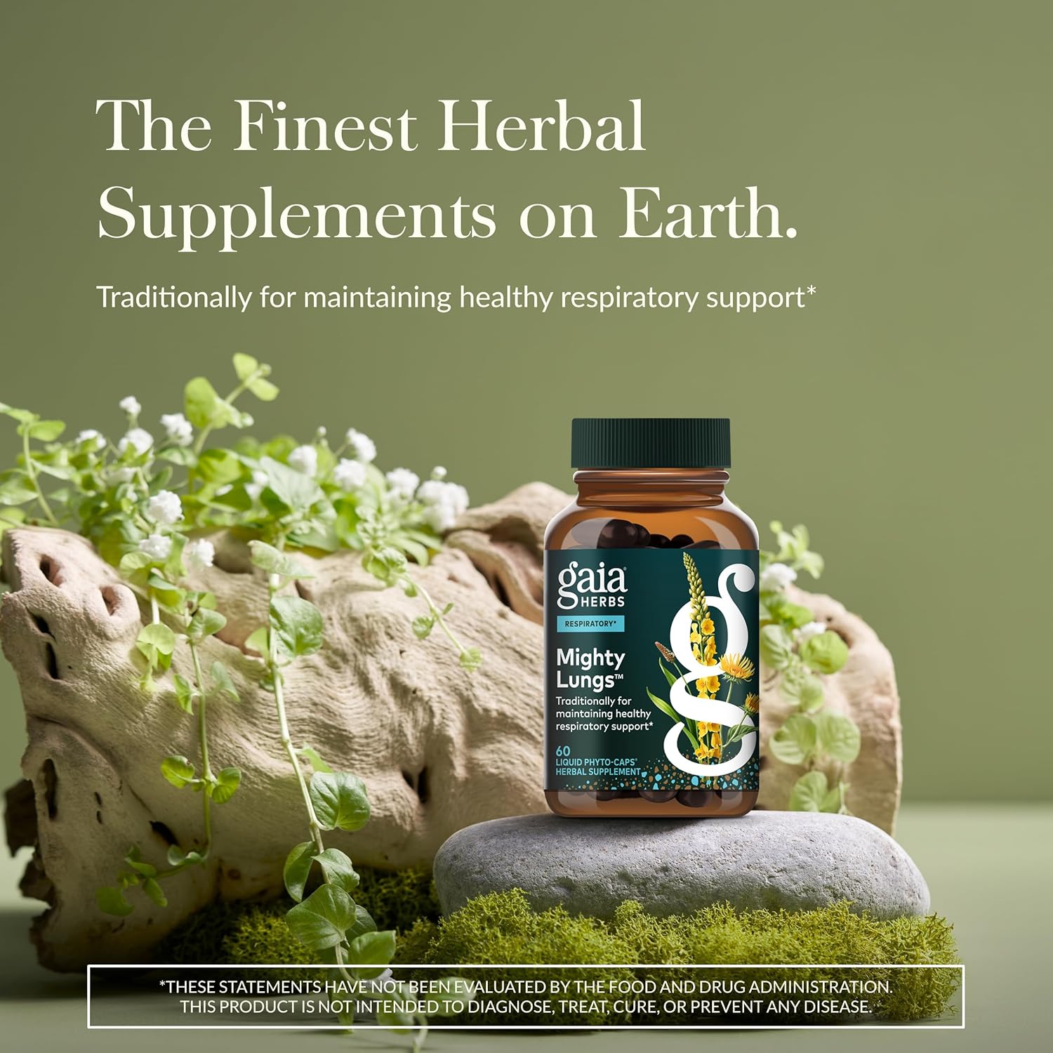 Gaia Herbs Mighty Lungs - Lung Support Supplement to Help Maintain Overall Lung & Respiratory Health* - With Mullein, Plantain, Schisandra & Elecampane - 60 Vegan Liquid Phyto-Capsules (30-Day Supply)