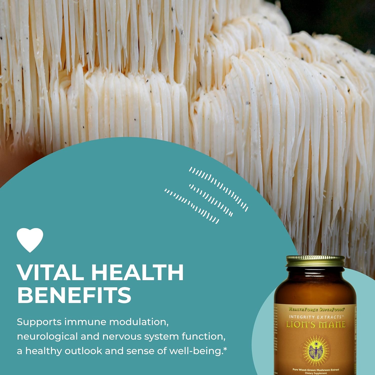 HealthForce SuperFoods Integrity Extracts Lion's Mane - Powder - 60 Grams