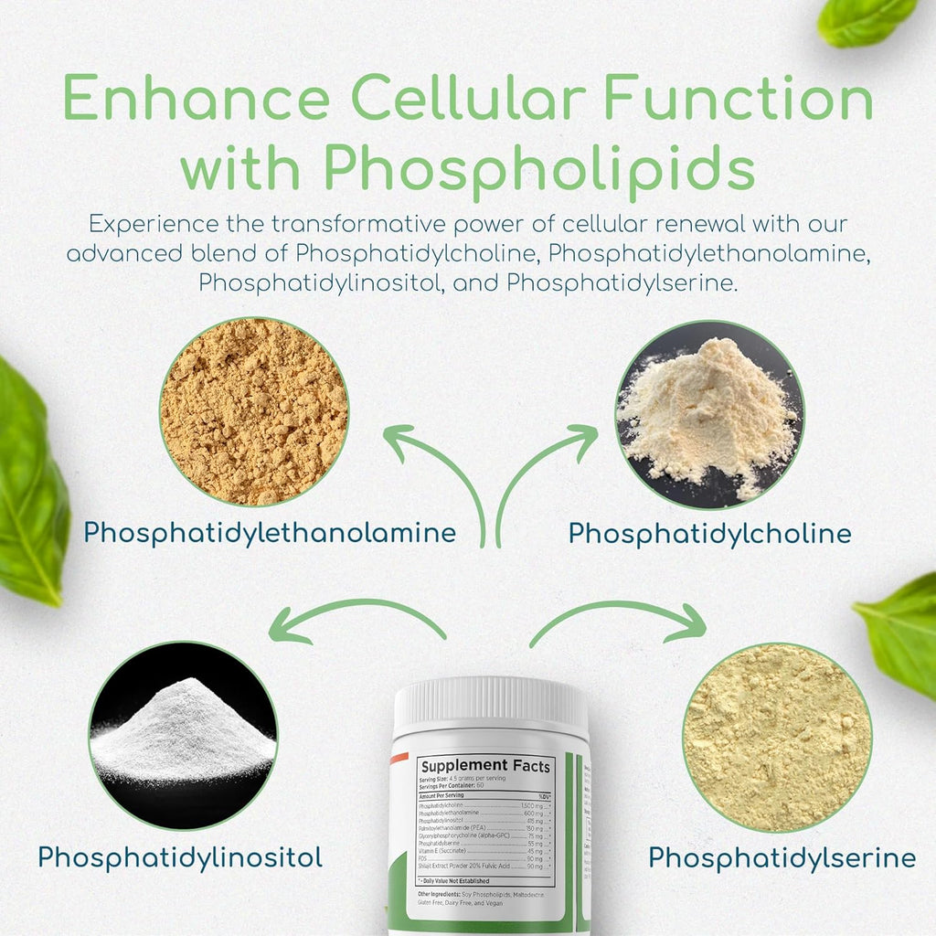 Phospholipid Synergy Powder | Antioxidant Powder for Cellular Repair | Brain Supplements for Memory and Focus | Liver Detox Supplements with an Advance Cleansing Formula | 270 g
