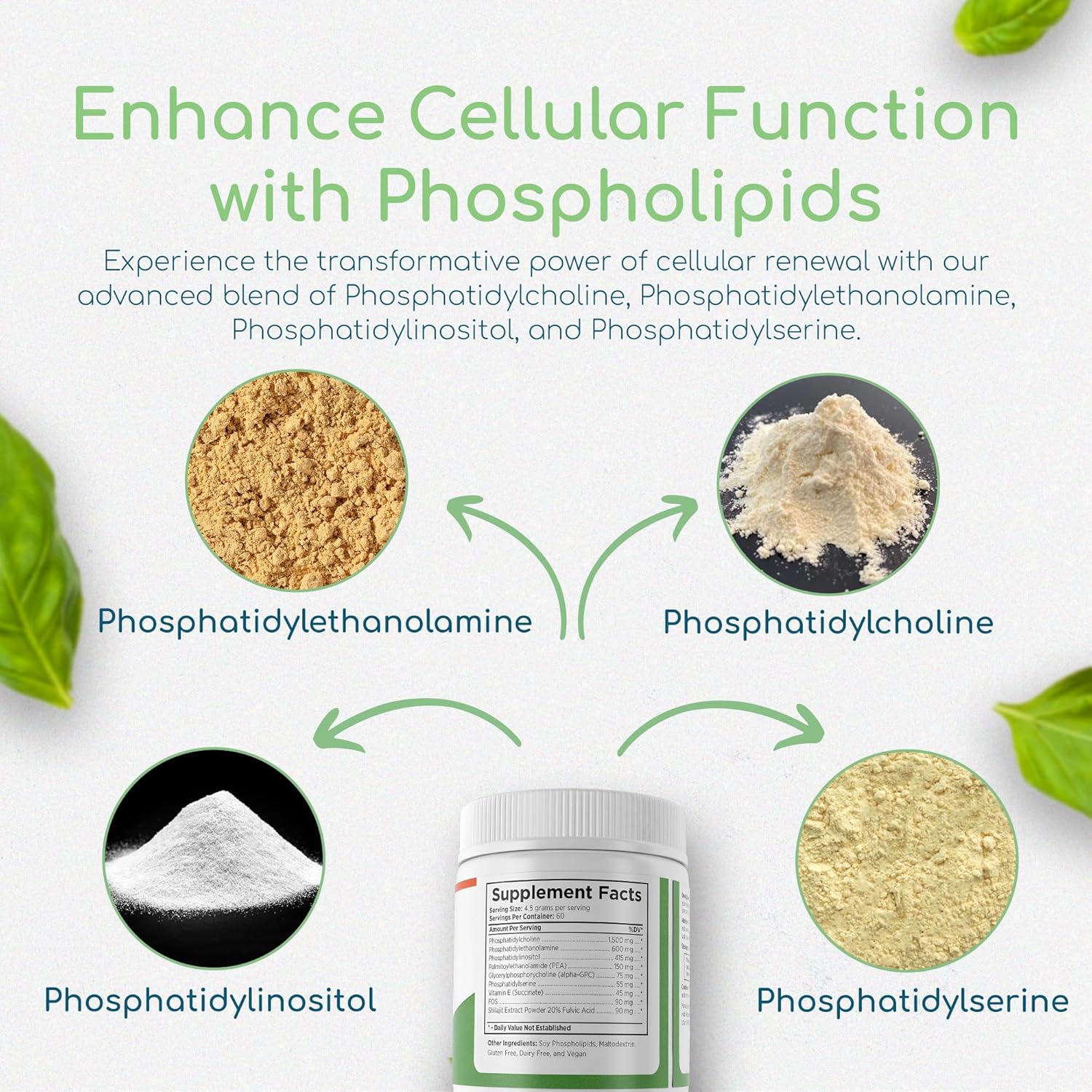 Phospholipid Synergy Powder | Antioxidant Powder for Cellular Repair | Brain Supplements for Memory and Focus | Liver Detox Supplements with an Advance Cleansing Formula | 270 g