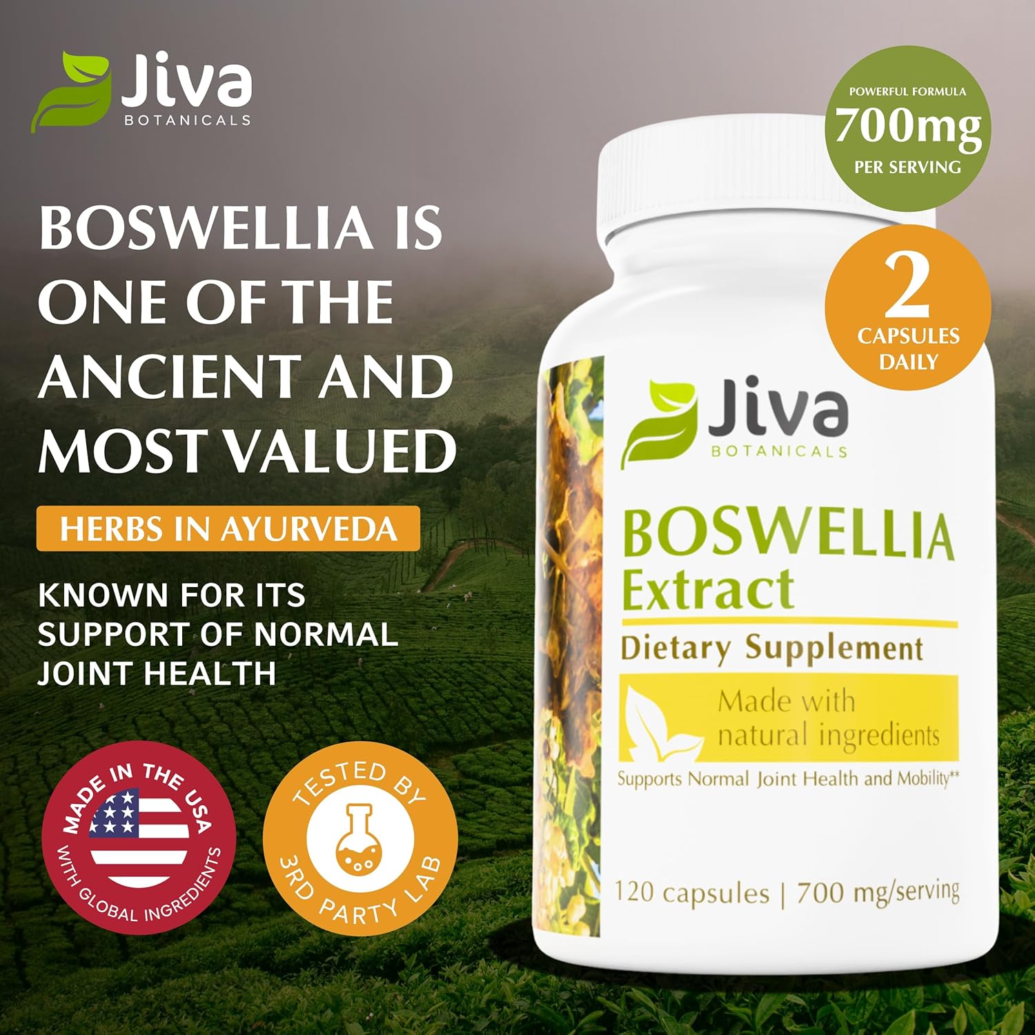 Jiva Botanicals Boswellia Extract Capsules 700mg per Serving - Boswellia Serrata Extract Supplement & Black Pepper - Joint Support Supplement for Normal Joint Health - 120 Capsules (Pack of 1)