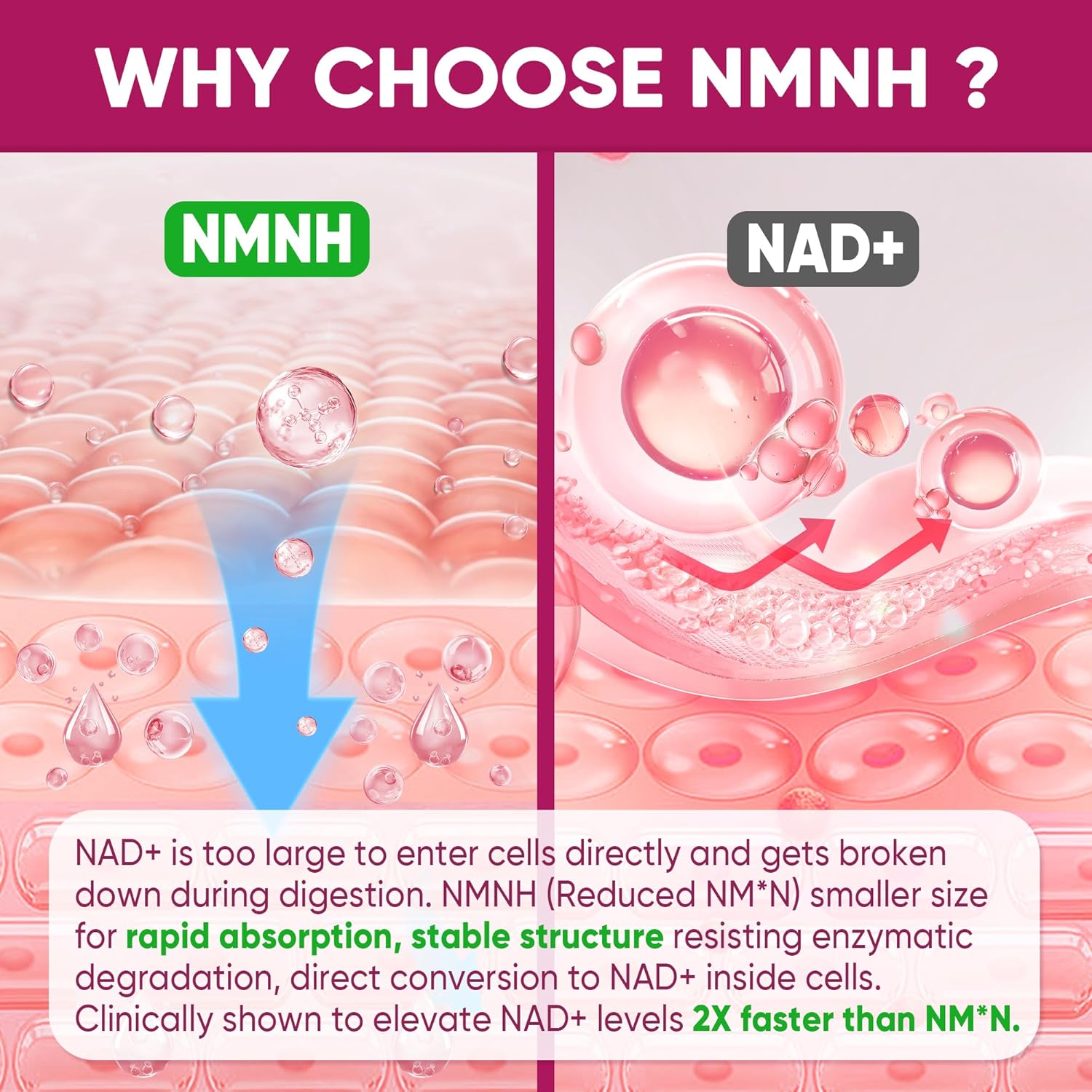 NMNH Gummies 300MG with Urolithin A, Polyphenol Blend, Resveratrol, NAD+ Supplement for Women & Men Boost NAD+ Levels, Optimized Aging, Cell Regeneration, DNA Repair, Energy, Focus, Sugar Free, 60cts