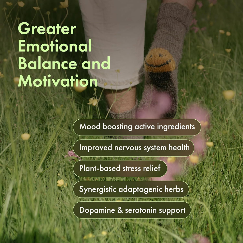 Mood Lift Gummies – Rhodiola, Reishi & Adaptogen Blend – Serotonin & Dopamine Mood Booster for Stress Relief, Motivation & Emotional Balance – Vegan, Non-GMO, Made in USA – 50 Extra-Strength Gummies