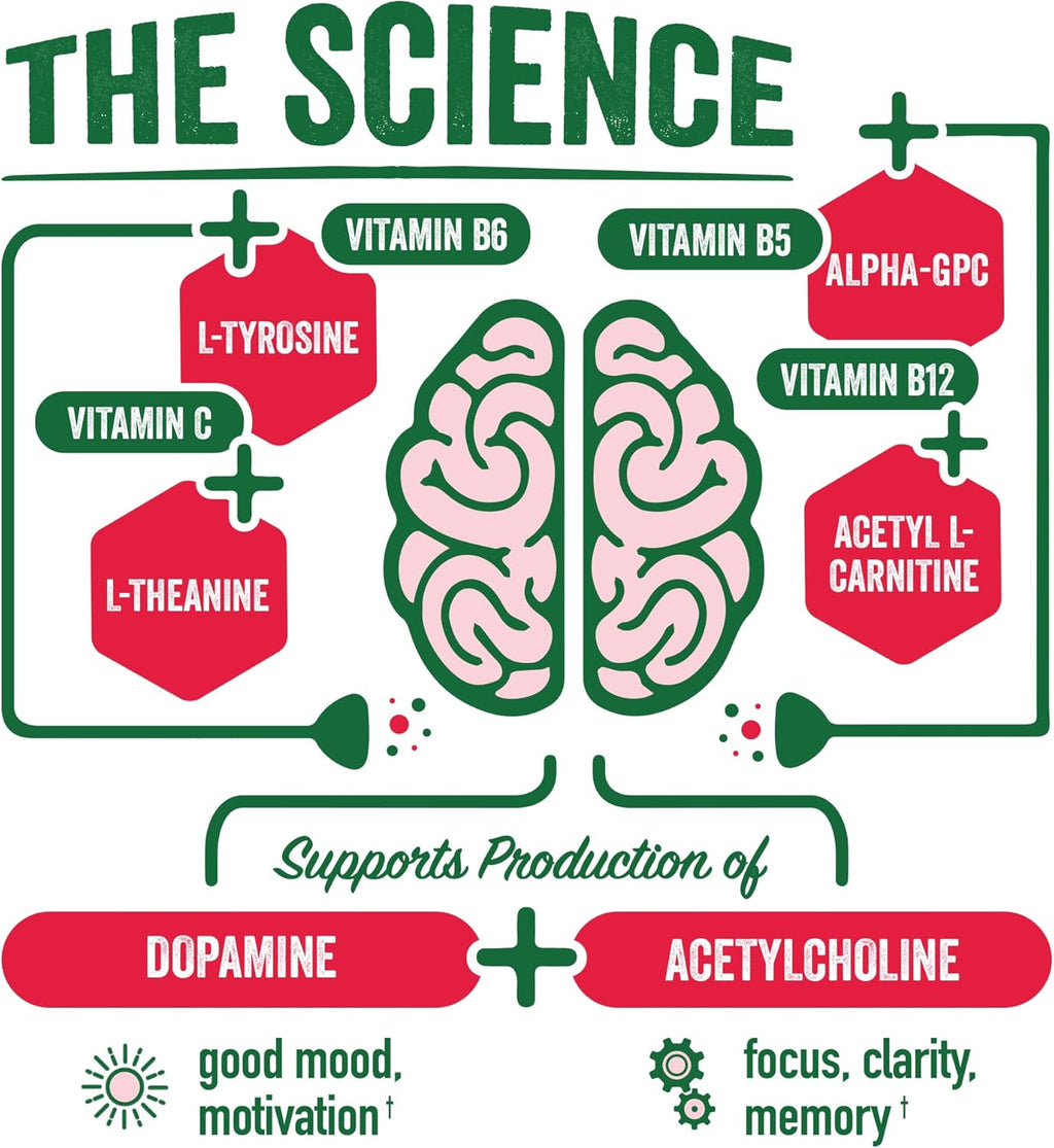 BrainJuice Nootropics Brain Support Supplement, Gluten Free Powder for Energy and Focus, Drink Mix with L Theanine, Alpha GPC, Vitamin B, Organic Green Tea Extract Caffeine, Pomegranate, 15 Servings