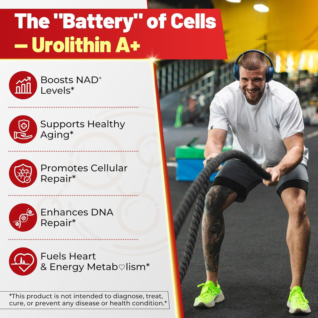 Urolithin A Gummies for Longevity & Muscle Energy, 1000mg Liposomal Urolithin A+ Supplement with NAD+, CoQ10, Resveratrol & L-Carnitine for Cellular, Mitochondrial, Brain & Heart Health, Vegan, 60ct