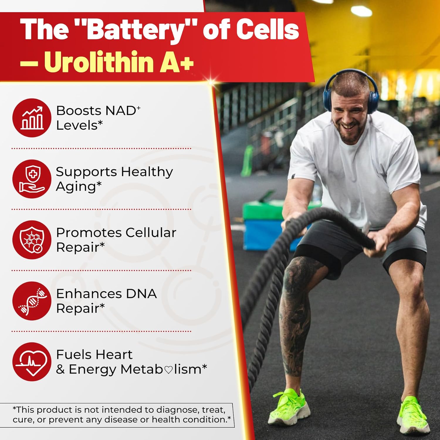 Urolithin A Gummies for Longevity & Muscle Energy, 1000mg Liposomal Urolithin A+ Supplement with NAD+, CoQ10, Resveratrol & L-Carnitine for Cellular, Mitochondrial, Brain & Heart Health, Vegan, 60ct