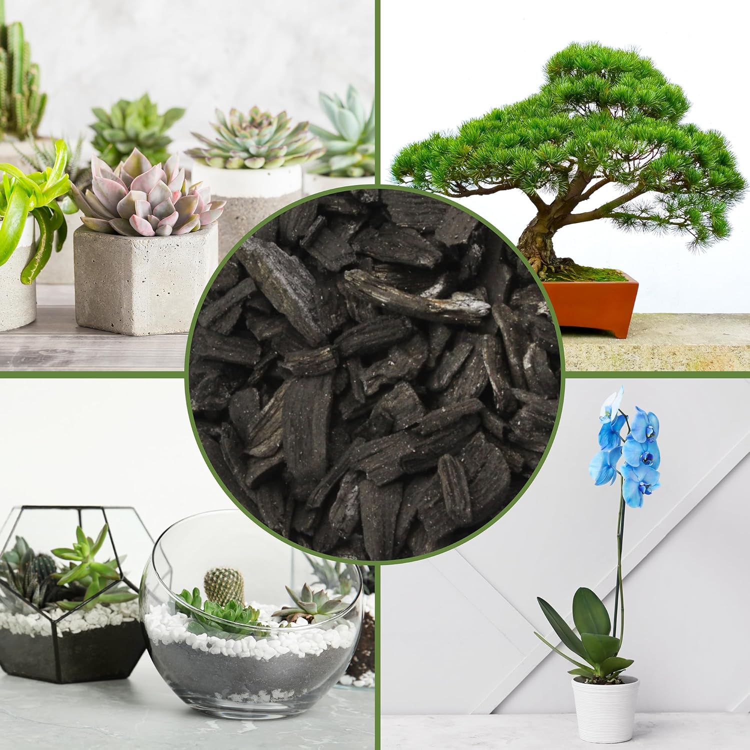 Horticultural Charcoal for Indoor Plants (8 Quarts), Hardwood Soil Additive for Orchids, Terrariums, and Gardening