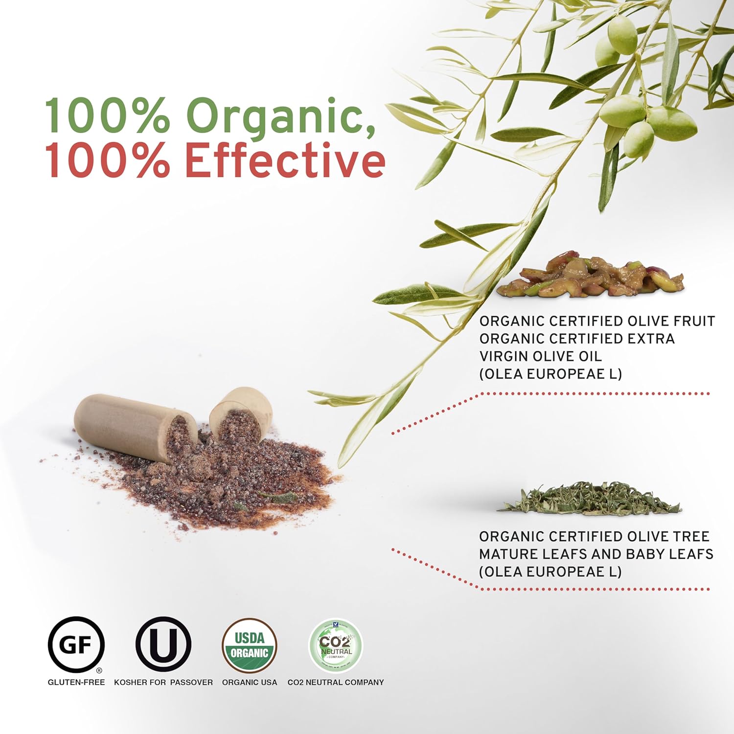 Organic Olive Leaf Extract Capsules Olivie Force/Rich | Antioxidant Polyphenol Supplement for Adults | Health Support Supplement | 50 Vegetal Capsules