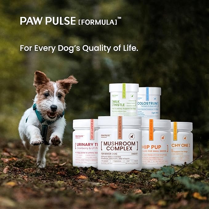 Pawpulse Formula Milk Thistle for Dogs – Liver & Kidney Support Powder with Silymarin & Glutathione – Daily Detox, Antioxidant & Metabolic Natural Support, 2.12 oz