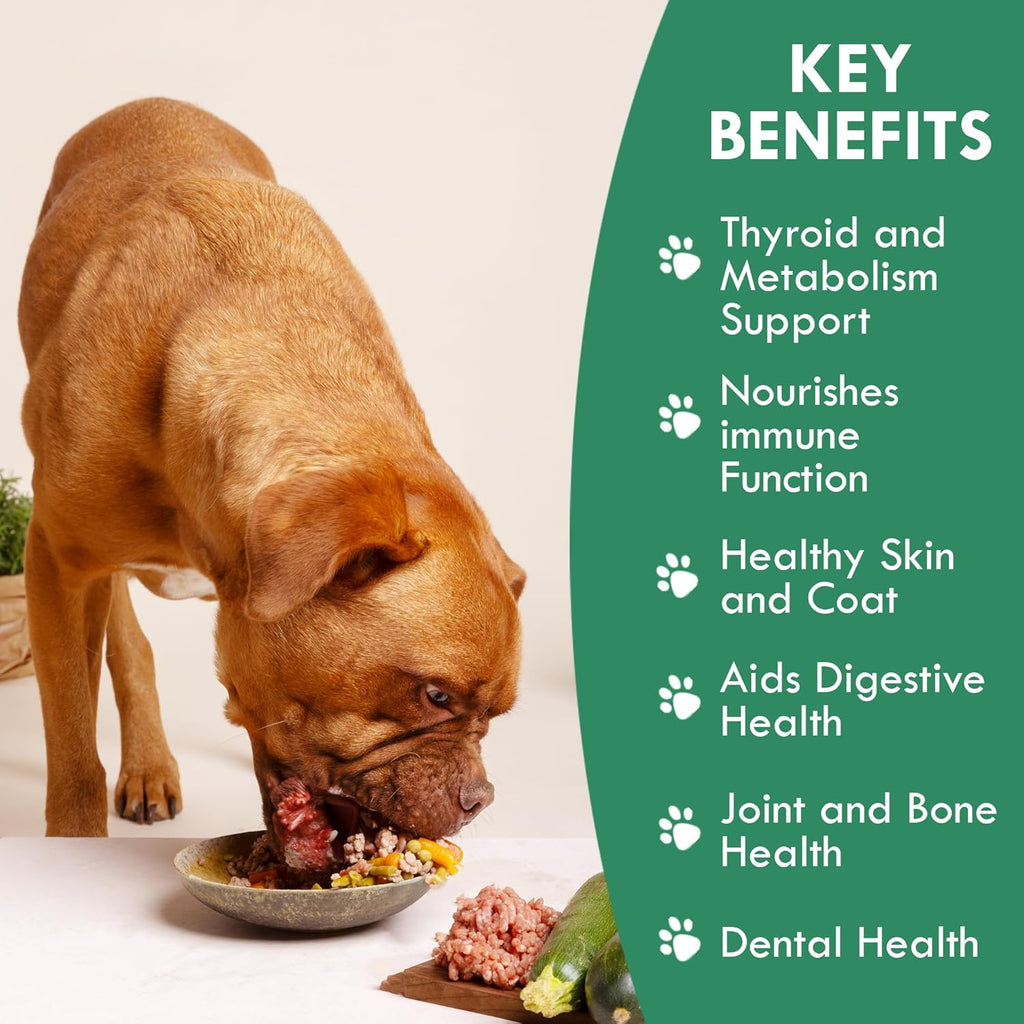 Canine Atlantic Sea Kelp for Dogs | All Natural Dog Food Topper for Digestive Health, Skin and Coat Health, and Immune Support | Rich in Vitamins, Minerals, and Calcium for Dogs (50g)