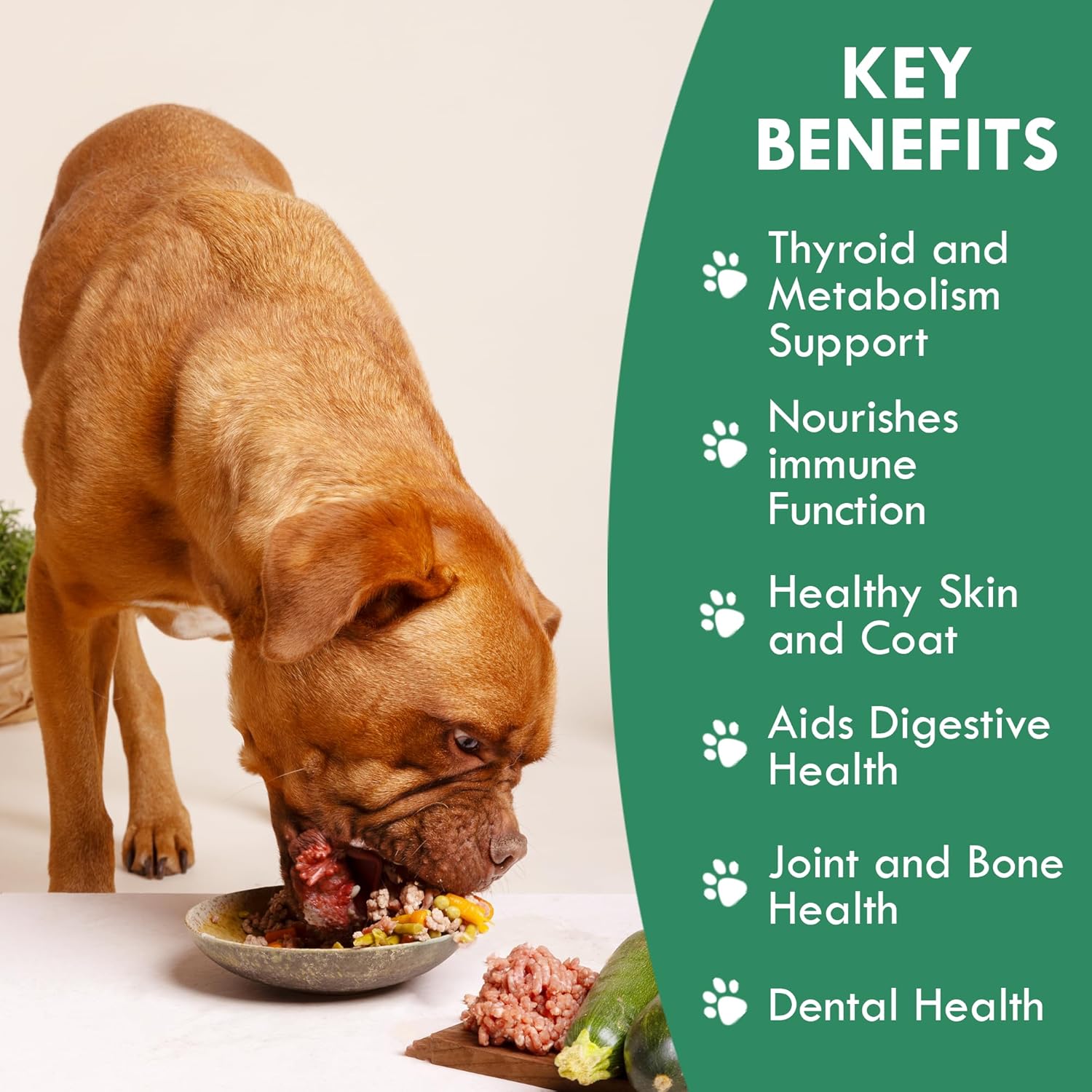 Canine Atlantic Sea Kelp for Dogs | All Natural Dog Food Topper for Digestive Health, Skin and Coat Health, and Immune Support | Rich in Vitamins, Minerals, and Calcium for Dogs (50g)