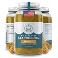 Herbal Vineyards Wildcrafted Irish Mango Sea Moss Gel 16 Oz - Organic Seamoss Gel Made with Dried Seaweed & Fresh Sea Vegetables, Natural & Plant-Based, Harvested in Pristine Waters, USA