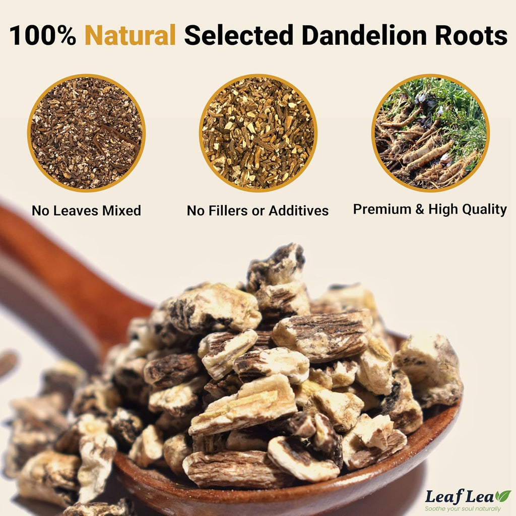 LeafLea 120 Dandelion Root Tea Bags, Dandelion Tea Promotes Healthy Digestion & Immune Function, 100% Natural and Pure from Dandelion Root Herbal Tea, Caffeine-Free, Sugar-Free, Vegan, Pack of 3