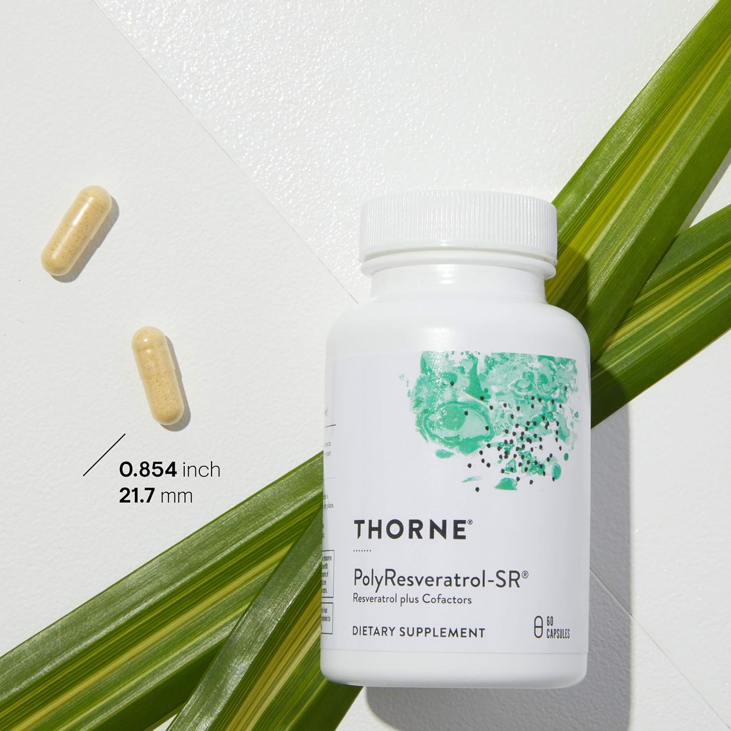 THORNE PolyResveratrol-SR - Trans-Resveratrol Supplement for Healthy Aging* - 60 Capsules