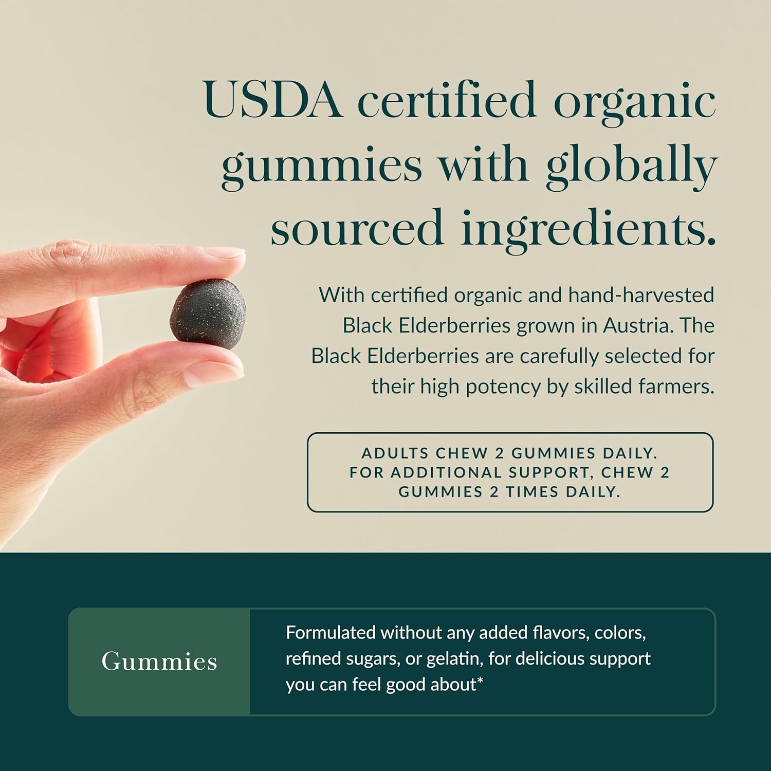 Gaia Herbs Black Elderberry (Sambucus Nigra) Extra Strength Gummies - Delicious Immune Support Supplement - Made with Certified Organic Black Elderberries for Immune System Support - 80 Gummies