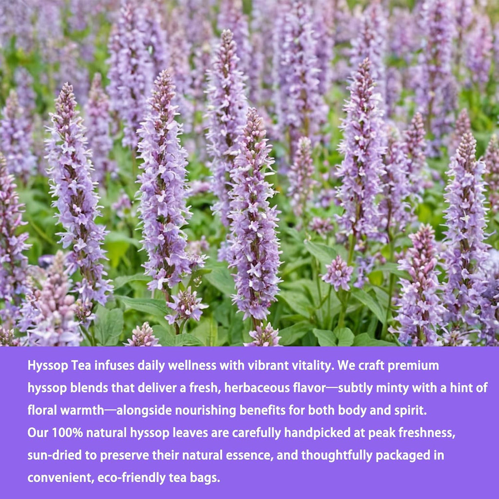 Samcci - Hyssop Tea, 40 Teabags, 1.5g/bag - Premium Hyssop Tea bags - No Additives - No Preservatives - Support Digestion & Promote Relaxation