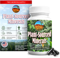 Fulvic Humic Mineral Blend of Plant-Sourced Trace Minerals, Electrolytes, Gut Health, Cognitive & Immune Support, Pure Vitality Formula for Strength - 120 Capsules