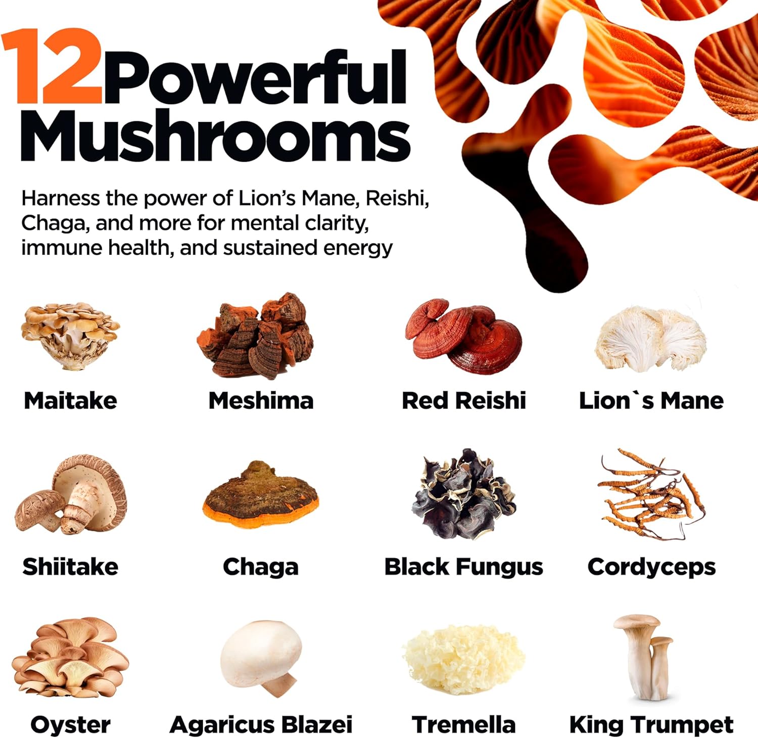 KIKI Green 12 Mushroom Powder 4 oz - Lion's Mane, Cordyceps, Chaga, Reishi, Shiitake, Maitake & More - Vegan, Fruiting Body Mushroom Supplement Powder for Focus, Energy, Immunity