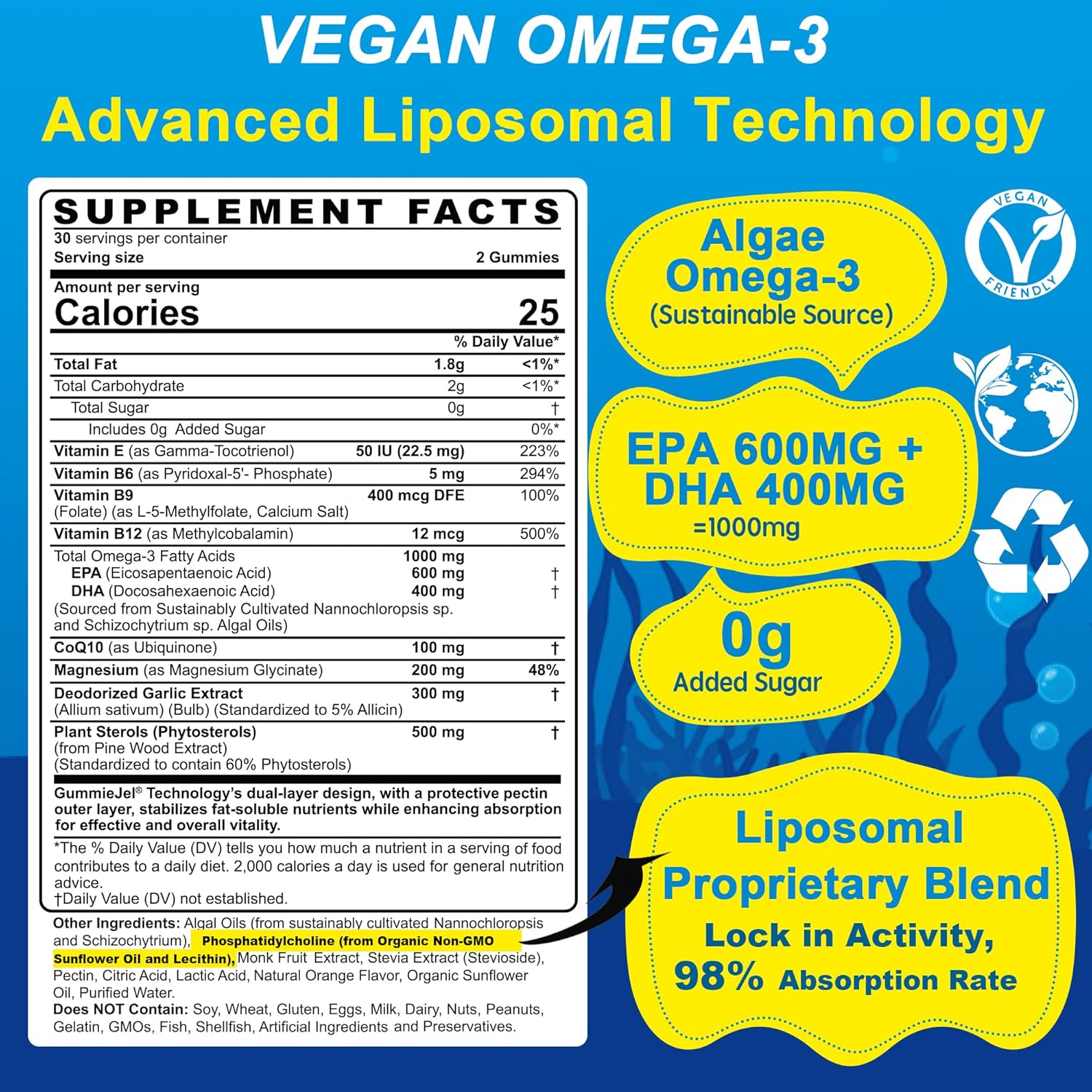 Vegan Omega-3 Gummies 1000mg +CoQ10+Magnesium- EPA 600mg DHA 400mg, Fish Oil Omega 3 Supplements Alternative for Women Men Adults, Liposomal, Algae, Plant Sterols, Garlic,B6,B9, B12, Sugar Free, 2Pack