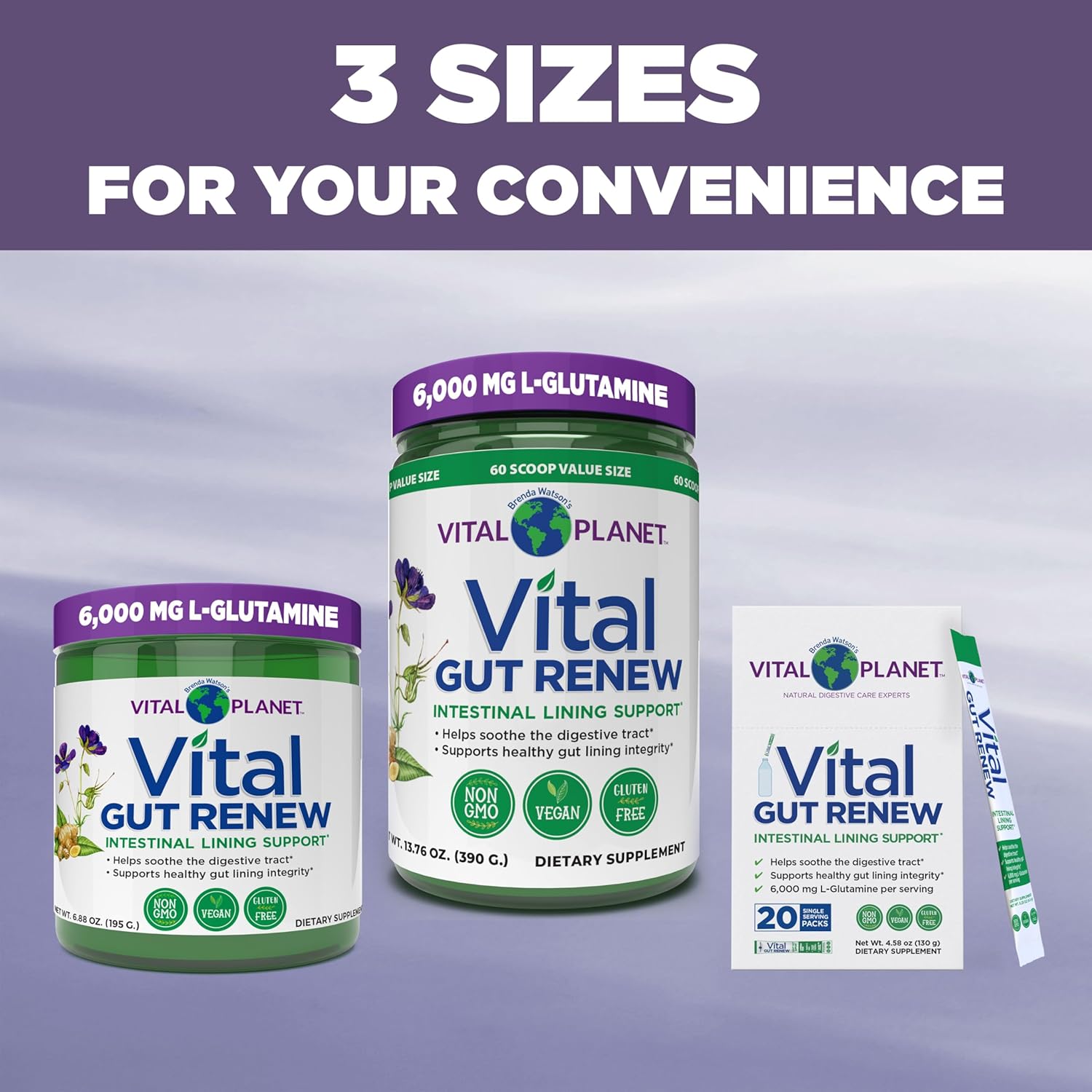Vital Planet - Vital Gut Renew Powder Supplement for Leaky Gut Repair with L-Glutamine, Marshmallow and Ginger Root, DGL Licorice Root and Organic Aloe Vera, L Glutamine 6000mg 6.88 oz