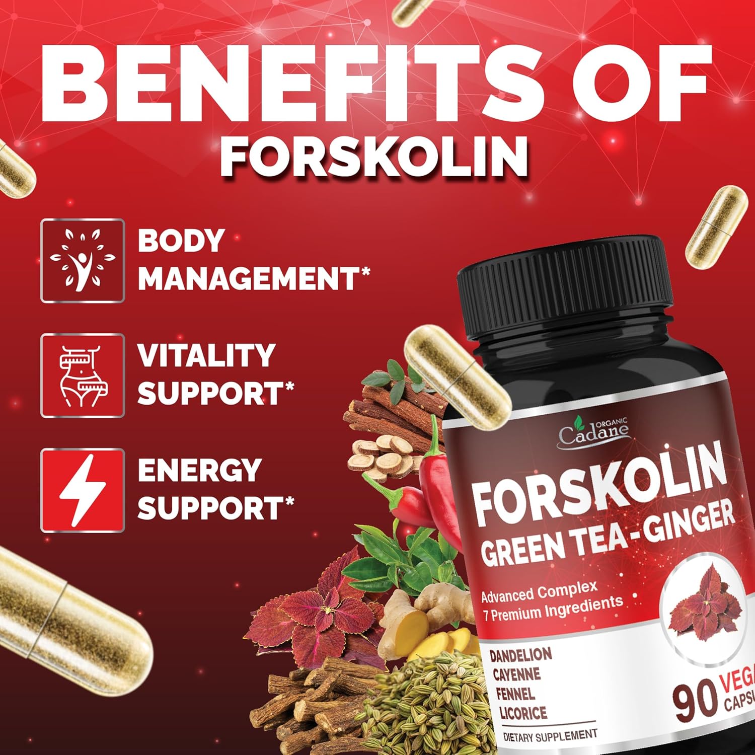 Organic Cadane Forskolin Supplement with Green Tea, Ginger, Dandelion, Cayenne, Fennel, and Licorice| Body Management & Energy Support | Vegan, Non-GMO – 90 Capsules – 45-Day Supply