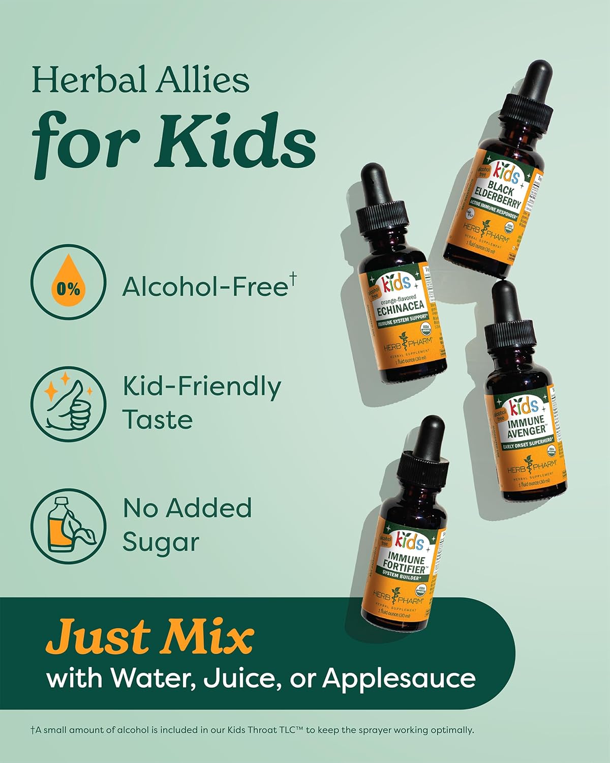 Herb Pharm Kids Certified-Organic Alcohol-Free Immune Fortifier Liquid Herbal Formula, 1 Ounce