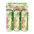 Kauffman Orchards Sparkling Apple Cider, 12 oz. Can (Pack of 6)