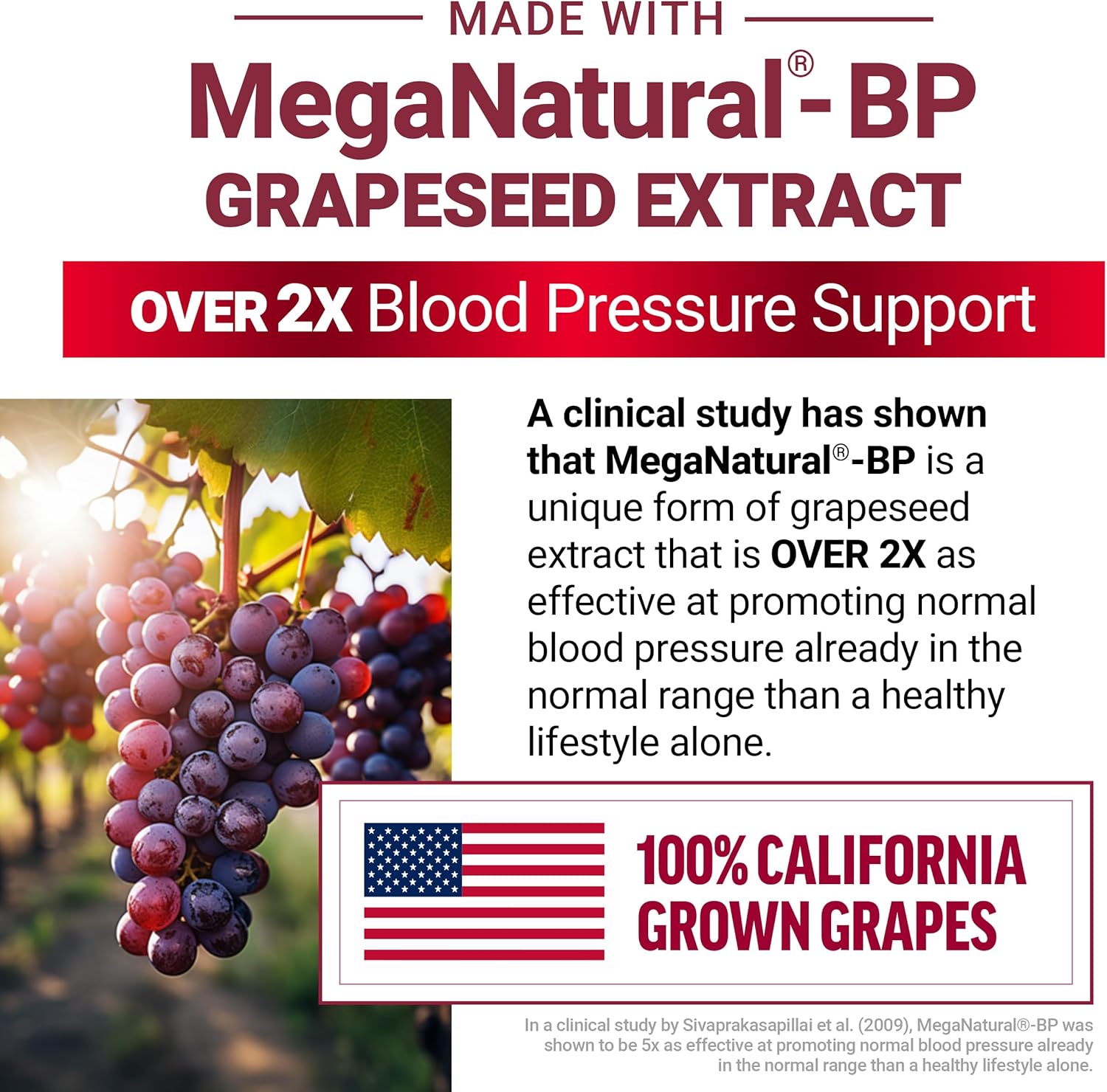 Force Factor Total Beets Gummies, Blood Pressure Support, Liposomal Beet Powder for Superior Absorption, Grape Seed for Nitric Oxide, Circulation & Heart Health, Sugar Free, Mixed Berry, 60 Gummies