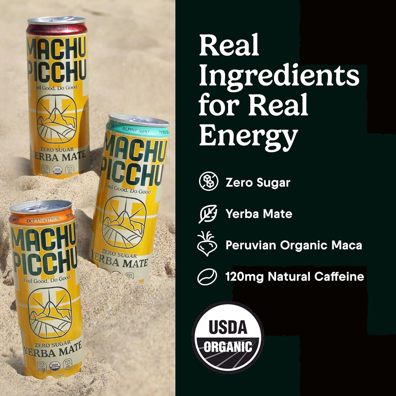 MACHU PICCHU ENERGY, Non-Carbonated Zero Sugar Yerba Mate, Clean Energy Drink Alternative, 12oz (Pack of 12) – 120mg Organic Green Coffee Bean Caffeine, Low Calorie, USDA Organic, No Artificial Flavors (Ocean Citrus)