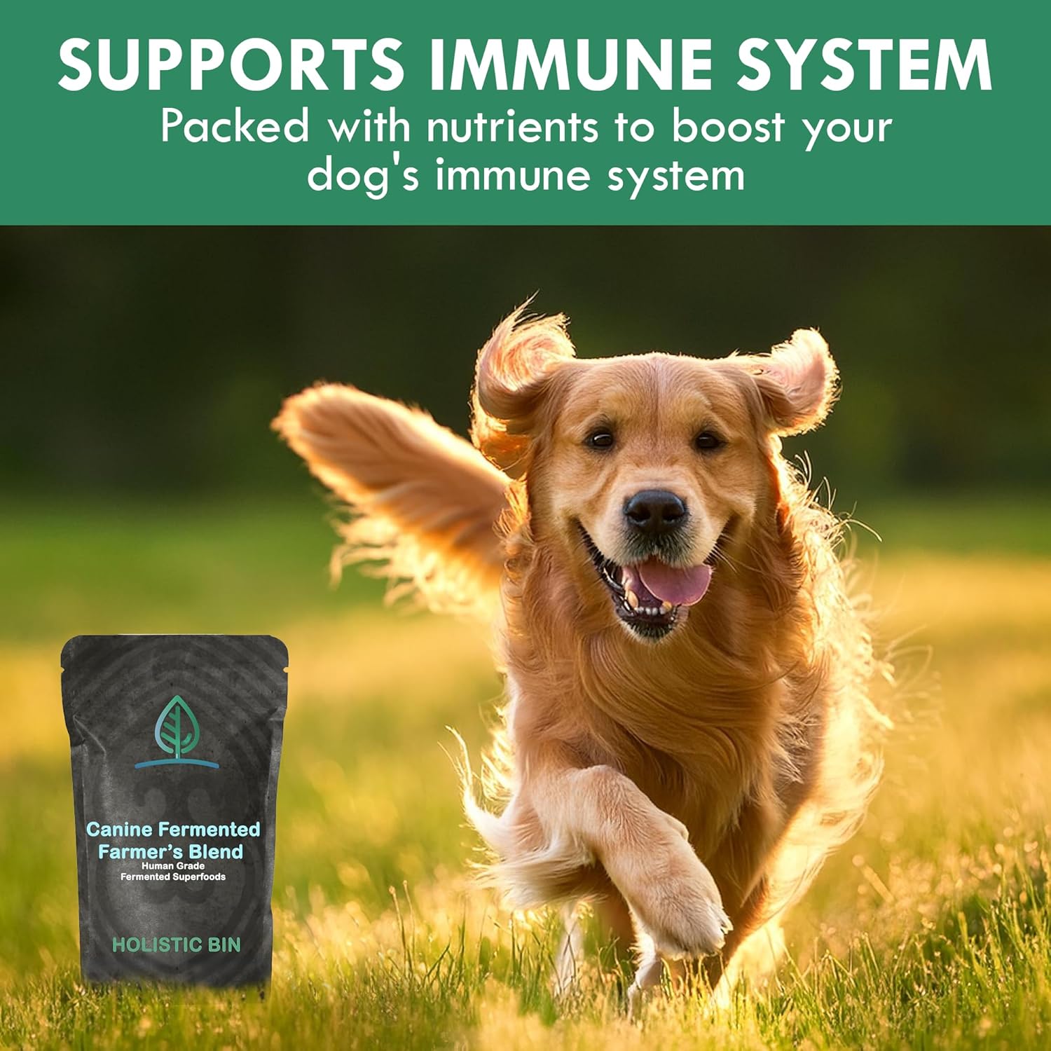 HOLISTIC BIN Canine Fermented Farm Supplement - Multivitamin Powder with Digestive Enzymes, Fermented Spinach, Pumpkin, Blueberry, Beets, & Turmeric - Dog Vitamins for Overall Health - 50g Powder