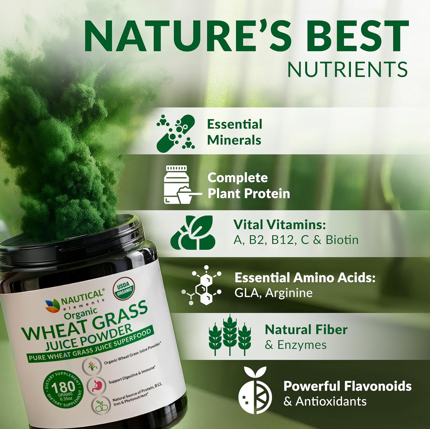 Wheat Grass Powder Organic – Premium Wheat Grass Juice Powder Organic, Raw & Nutrient-Dense Superfood – Cold-Processed, High Chlorophyll, Non-GMO, Gluten-Free – 6.35oz (180g) | 72 Servings